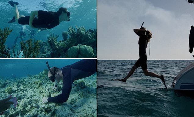Kate Middleton and Prince William share a slick clip of them enjoying  snorkelling in The Bahamas during their 2022 visit to Earthshot Prize  winner Coral Vita | Daily Mail Online