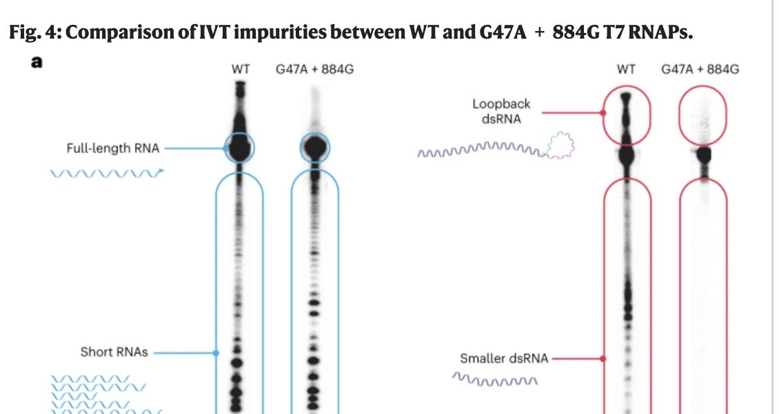 Retraction Watch Steps on Another Rake