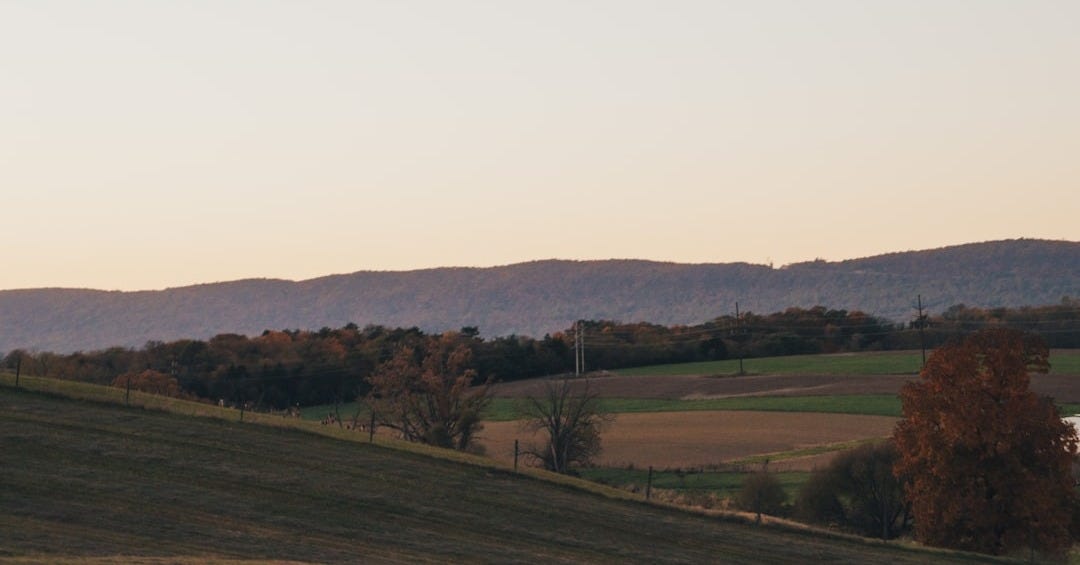 a landscape with trees and hills in the background