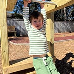 A Family Affair by Liz Adams | Substack