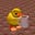 renata's avatar