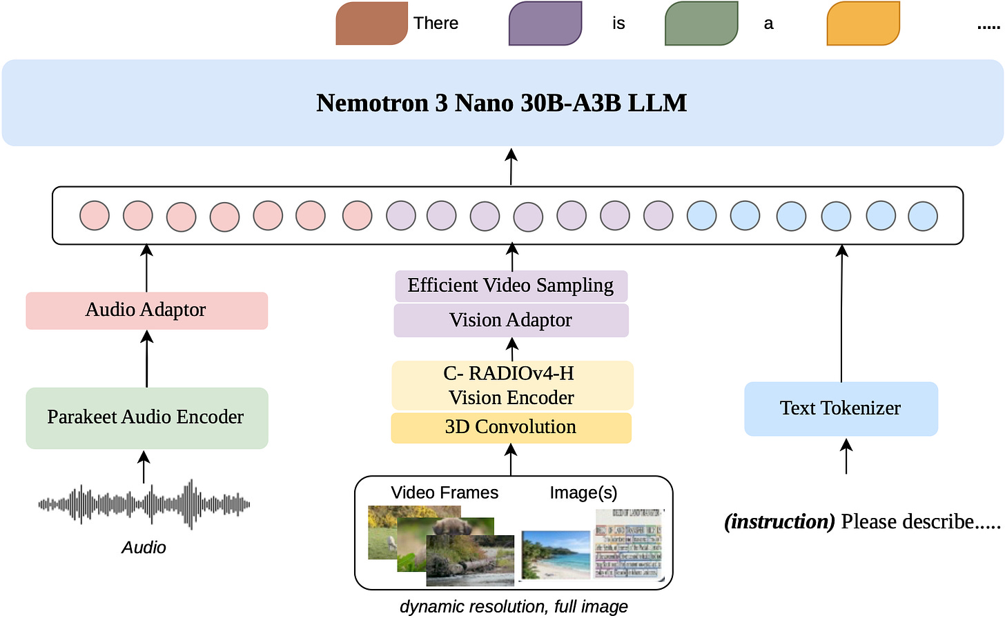 Nemotron_arch_v3_reduced