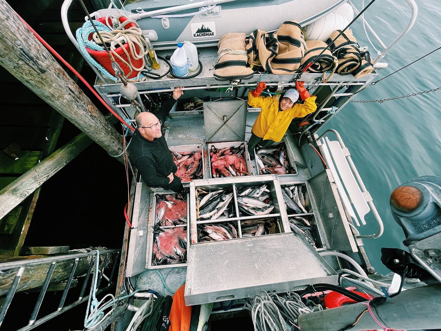 the crew and me unloading our daily catch of 892 fish the crew and me unloading our daily catch of 892 fish