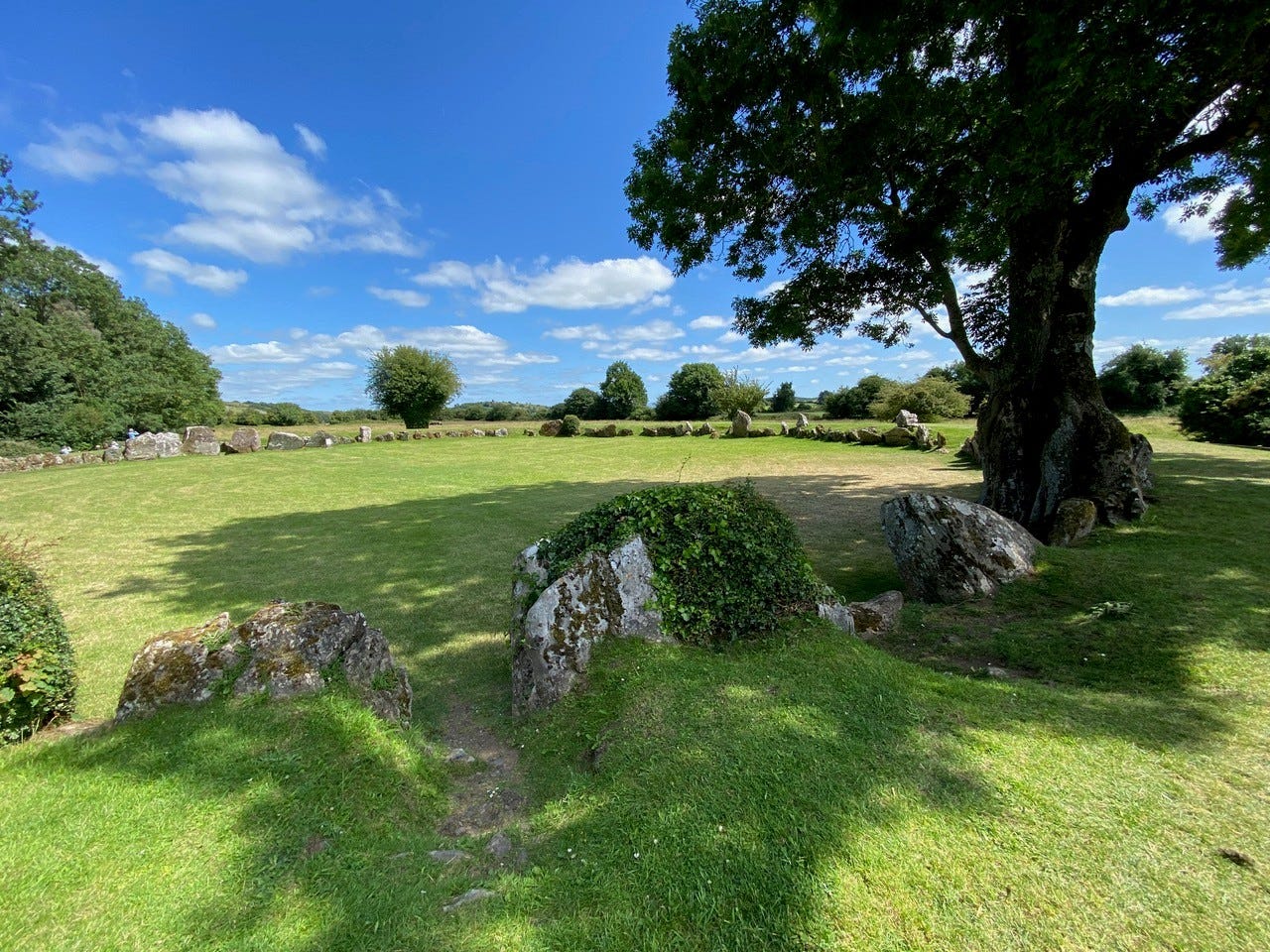 Grange, in County Limerick: 4,000-year-old Bronze Age standing stones