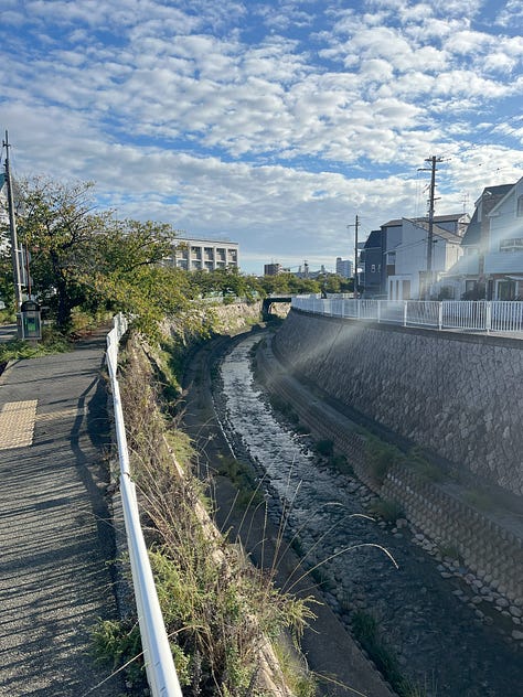Three pictures of the Myohoji River flowing through a park with lines of cherry trees in the early autumn sunshine