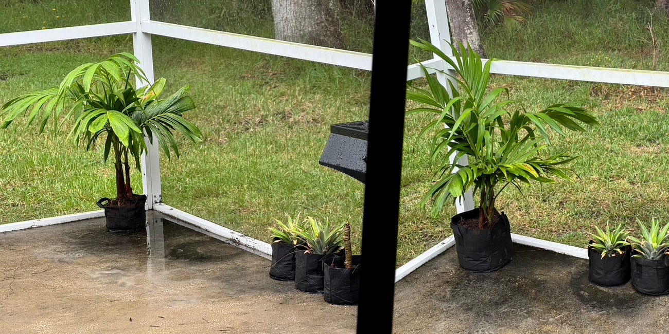 Fabric Potted Pots as Drainage for Porch