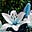 lily of heaven's avatar