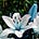 lily of heaven's avatar