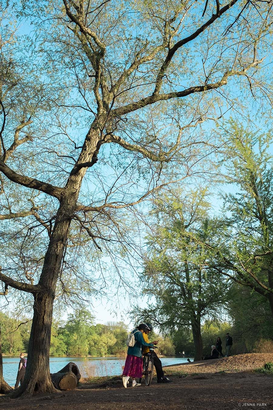 Prospect Park in spring Prospect Park in spring