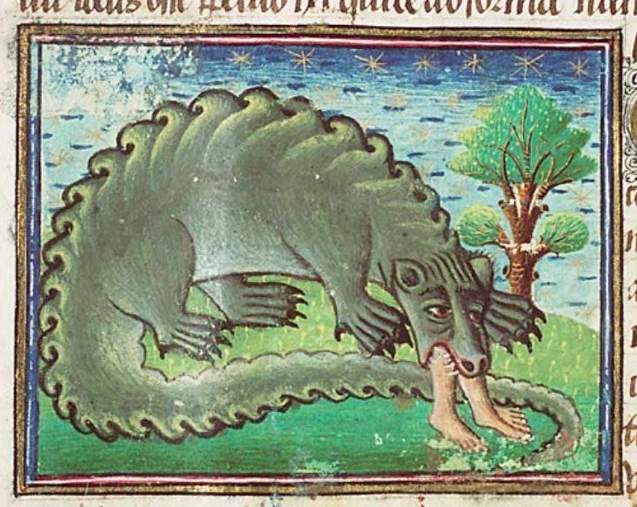 Crocodile swallowing person
