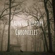 Haunted History Chronicles's avatar