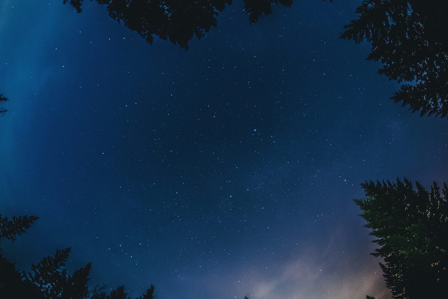 notte stellata vista dal basso
