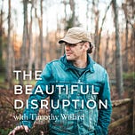 The Beautiful Disruption
