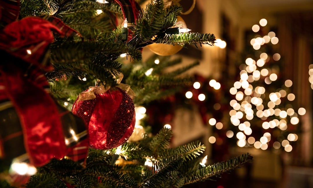 🌲 ¿Ya tienes tu árbol de Navidad?