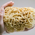 The sponge myth.