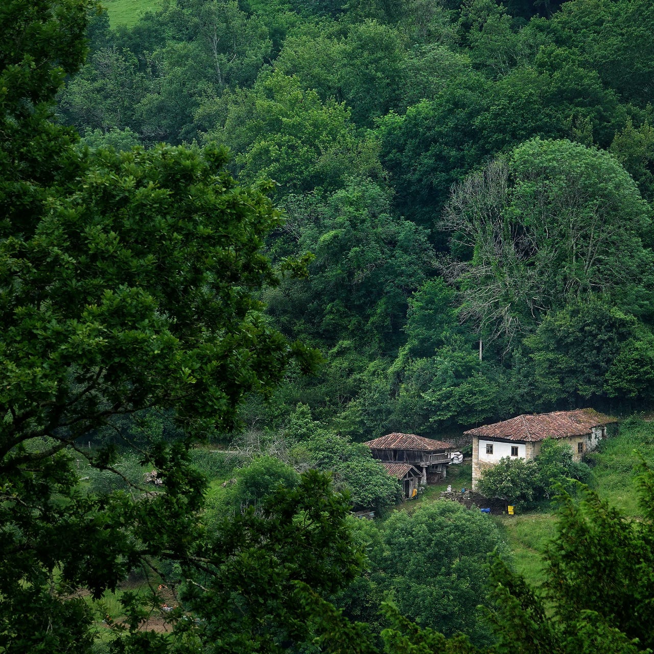 Artwork for Reem en Joost' newsletter