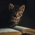 Interview: Midge Raymond & John Yunker