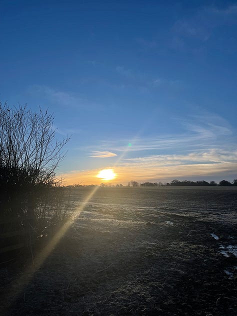 sunrise over frosty fields