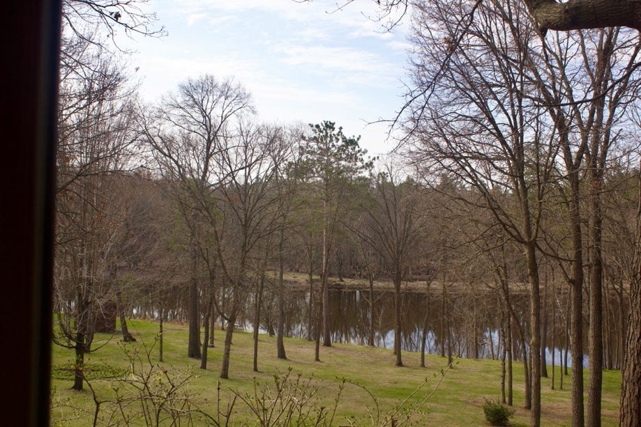 A pond with trees and grass

AI-generated content may be incorrect.