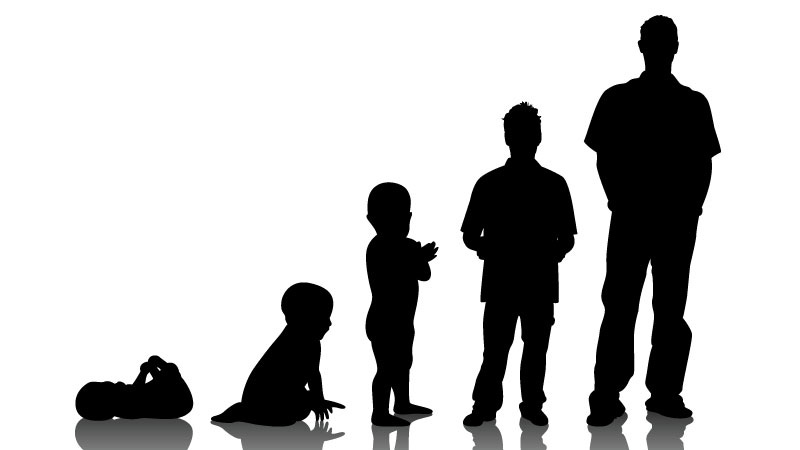 human-growth-and-development-textbook_138077_large.jpg (800×450) human-growth-and-development-textbook_138077_large.jpg (800×450)