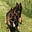 GSDLove's avatar