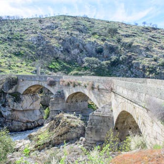 Writing with Labradors