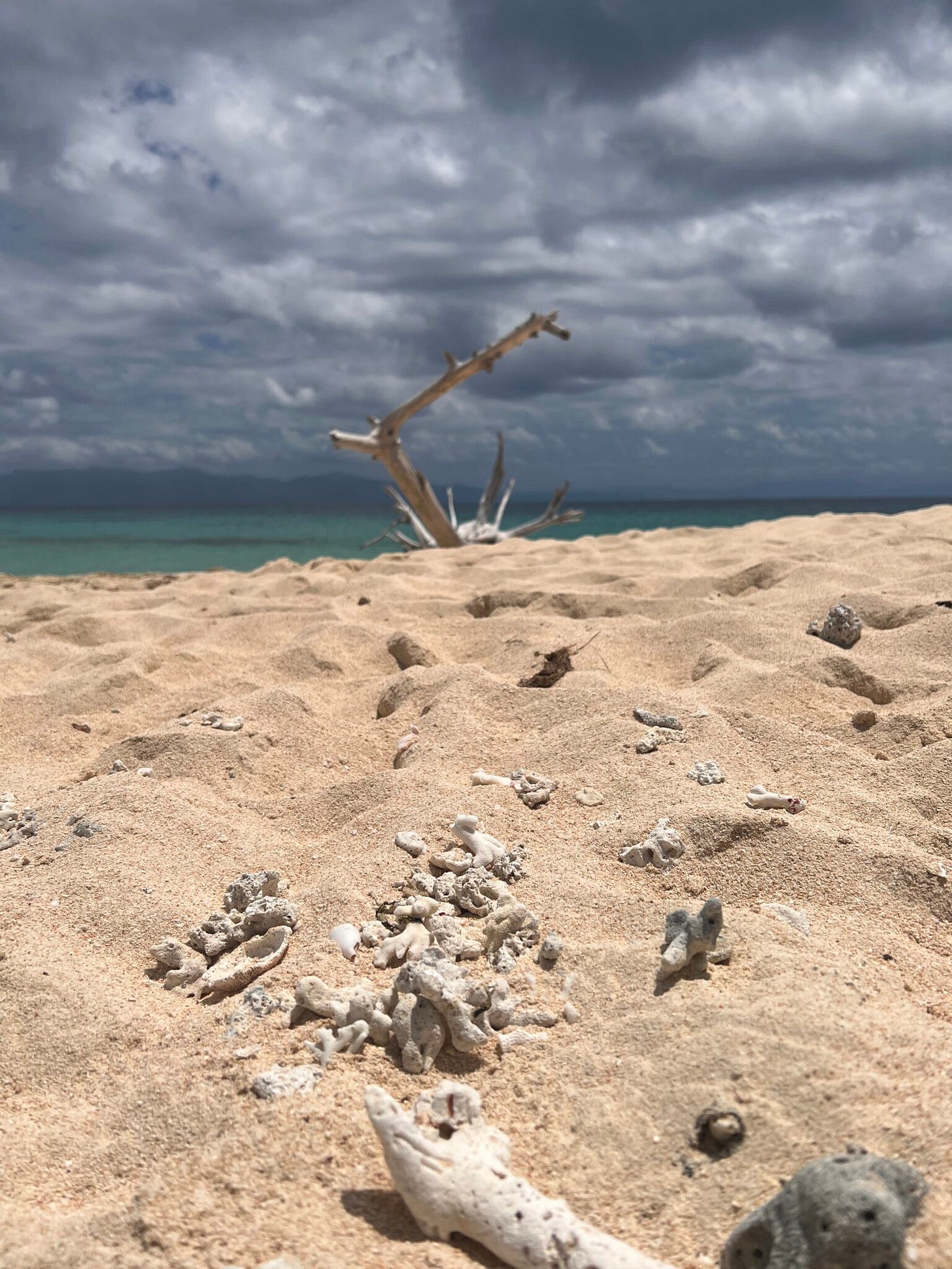 Kleine Insel am Great Barrier Reef