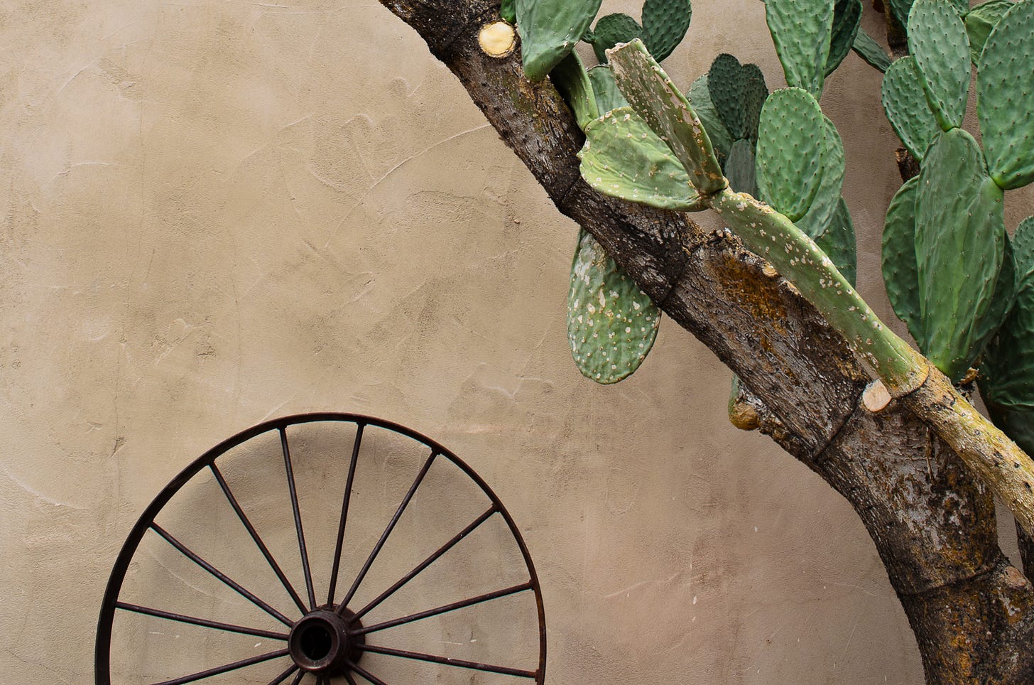 Rusting wagon wheel and cactus.