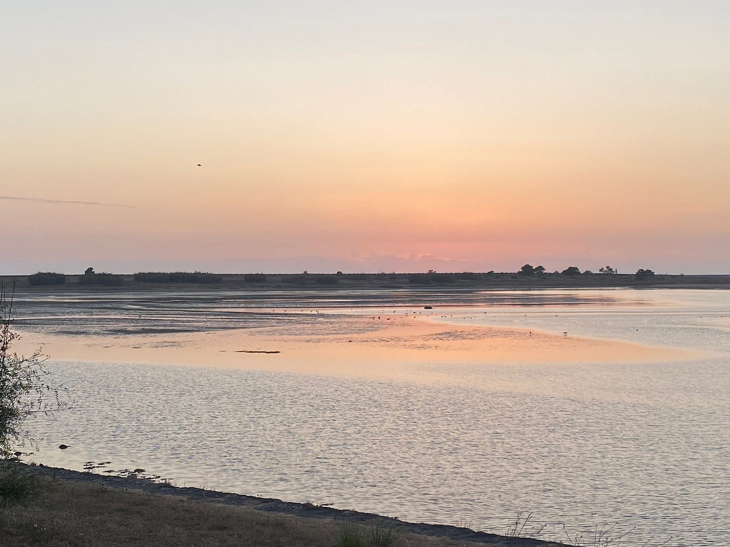 Douro estuary at sunset