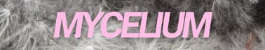 MYCELIUM