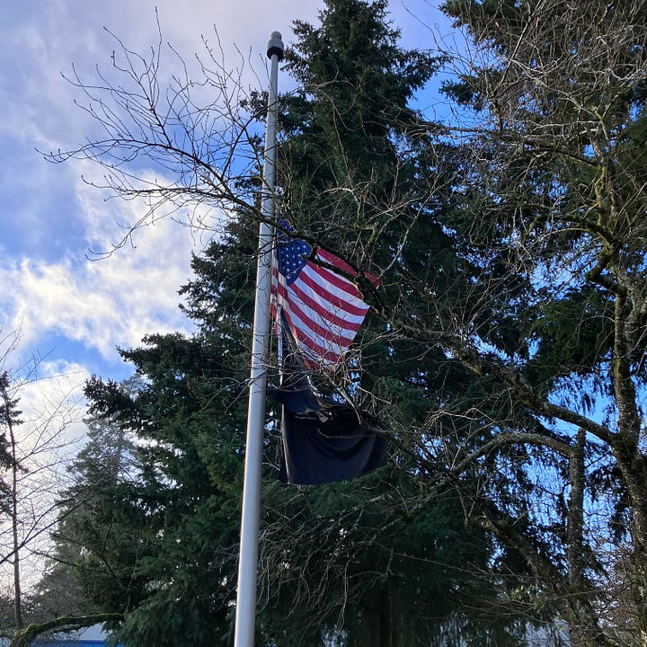 US flag at half mast, reference to Jimmy Carter in READY, SET, GO!: Playbook for Campaigns, Candidates, and Causes.