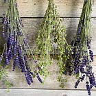 Homegrown Herbes de Provence