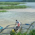 A Quick Look: Applications of Natural Capital Approaches in the Philippines