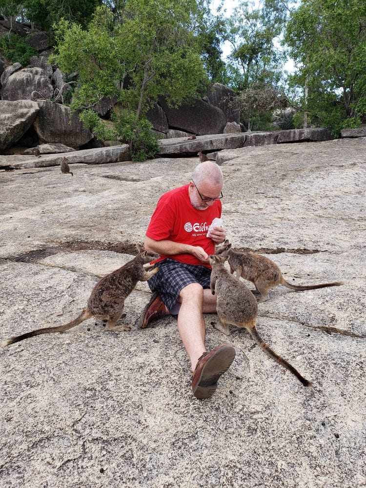a man feeding wallabies at Granite Gorge