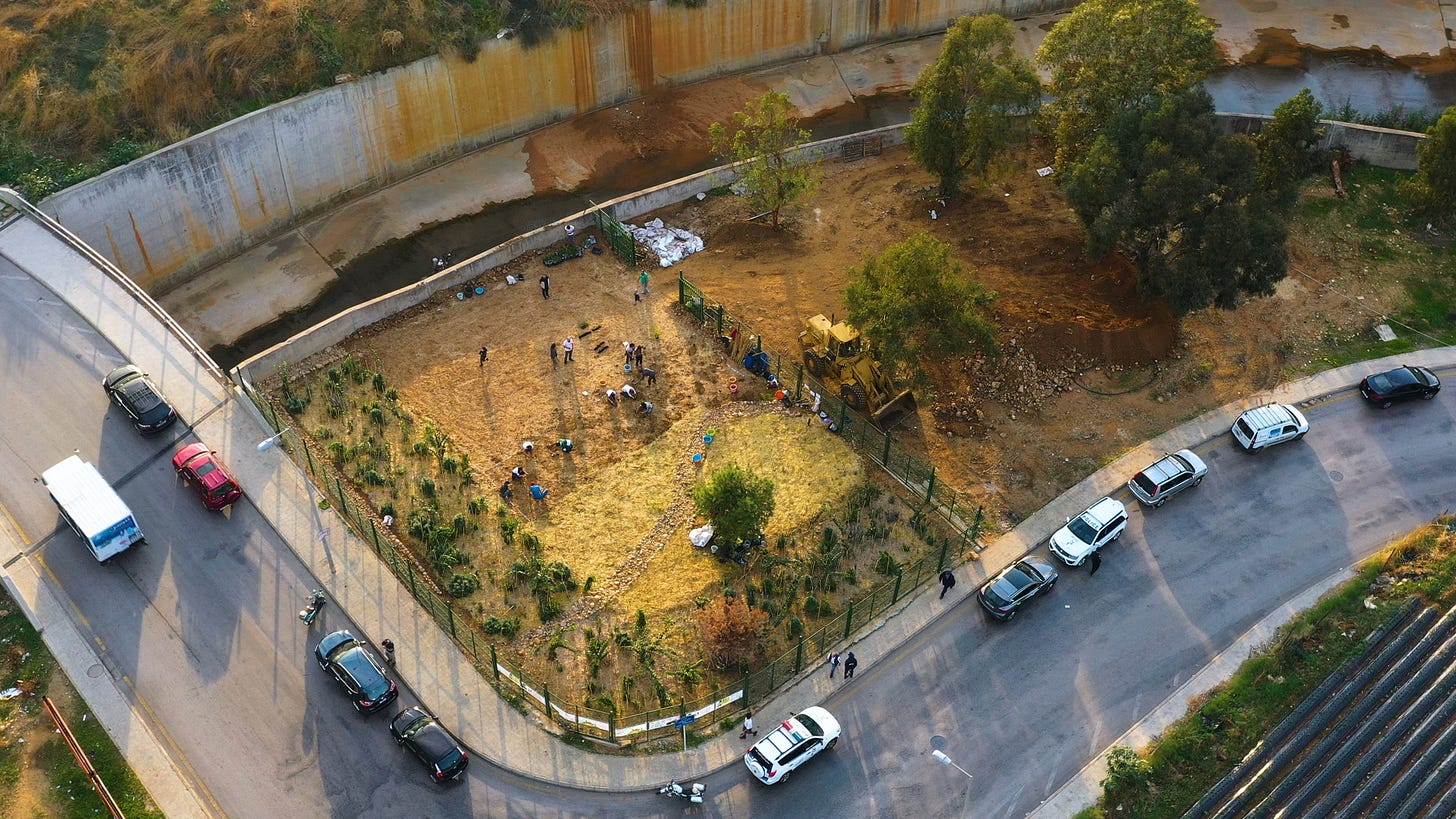 Beirut's RiverLESS Forest - Miyazaki tiny forests, project Sugi.