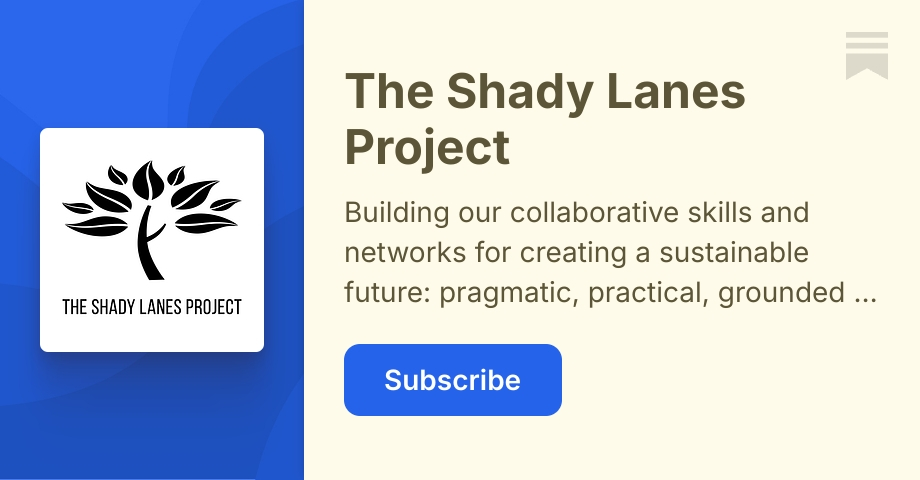 The Shady Lanes Project | Gayle Dallaston | Substack