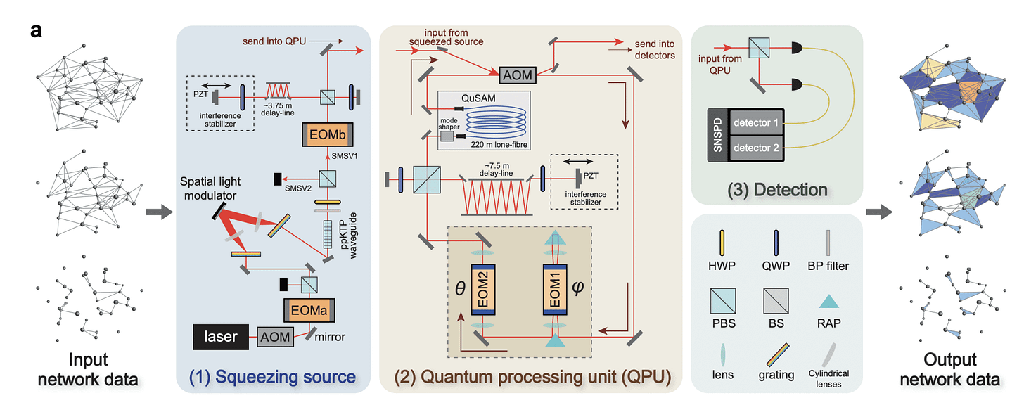 Quantum Processor Reveals Network Topology via Weighted Clique Identification and Betti Number