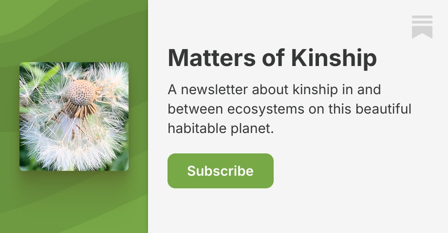 Matters of Kinship | Katharine Beckett Winship | Substack