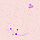 nomadic synapse