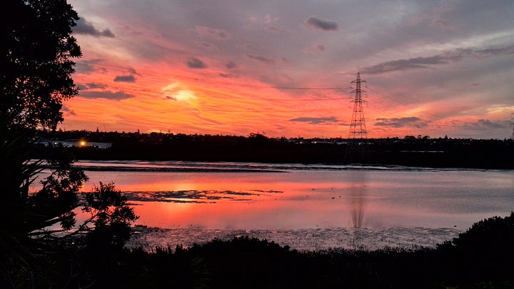Two views of Te Whau Estuary near Dr Vicki Connop's home, photographed at dusk and at sunset.