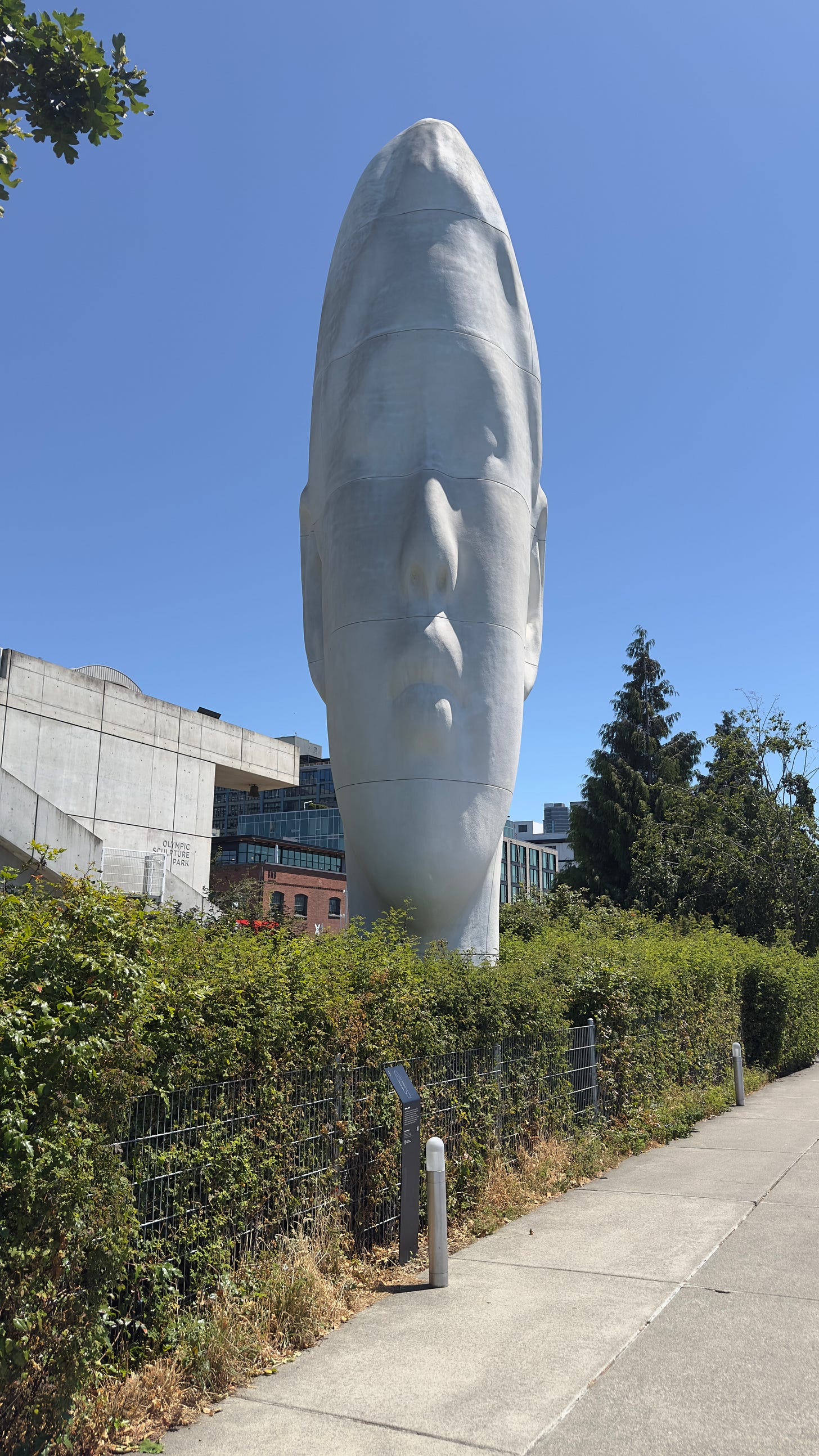 Fig. 1. Jaume Plensa’s Echo at the Olympic Sculpture Park in Seattle. Photograph by Paul LaPosta. The 46-foot sculpture was digitally modeled, elongated, and constructed from resin, marble dust, and steel [1].