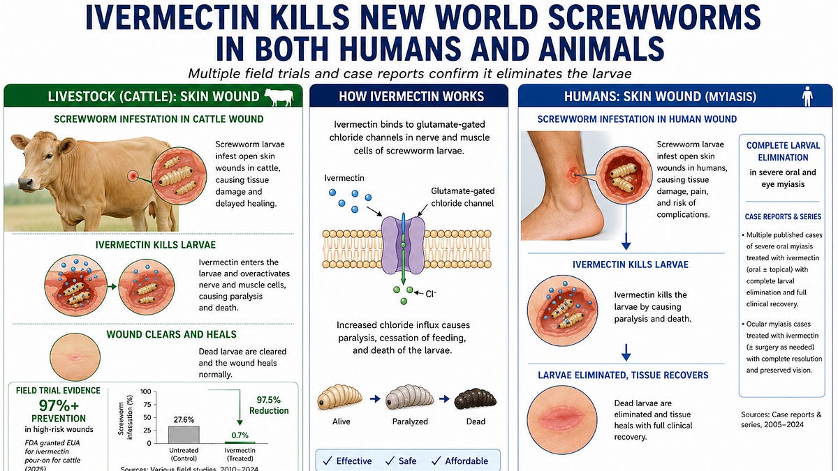 Ivermectin Kills New World Screwworms in Both Humans and Animals