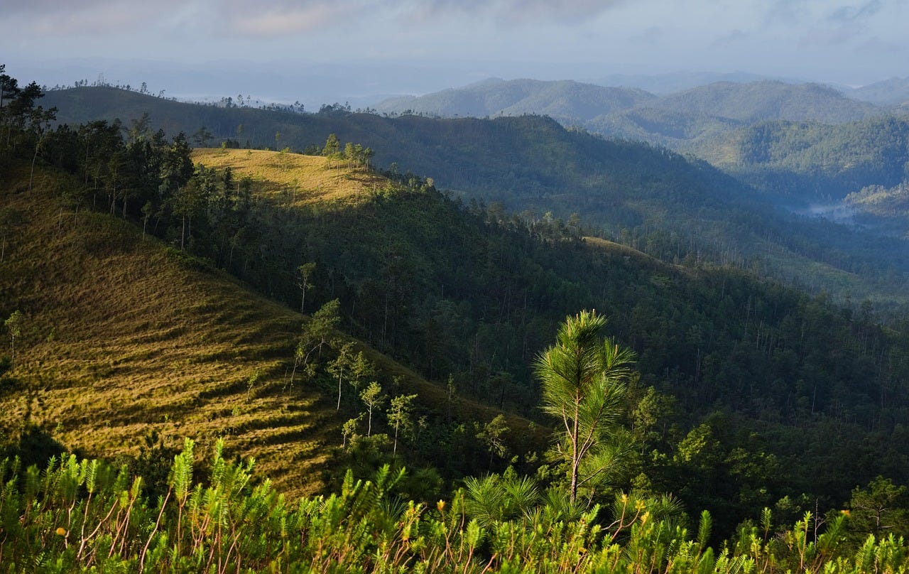 Mountain Pine Ridge in Belize