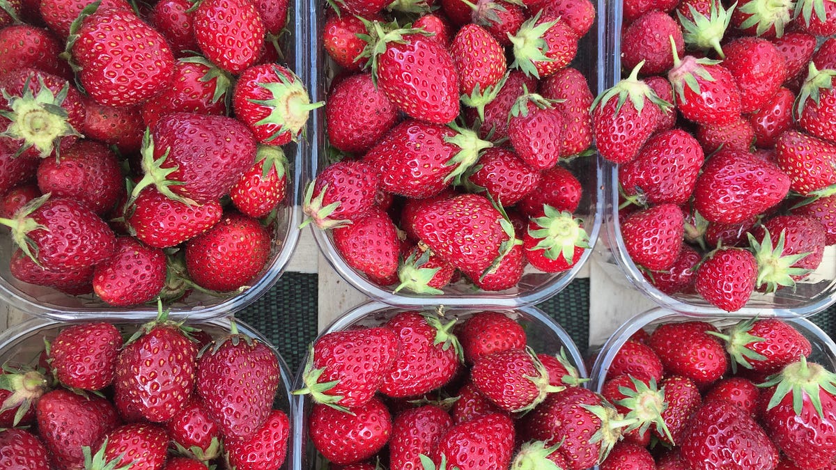 Strawberries 101 - by Lesley Chesterman - Lick my Plate