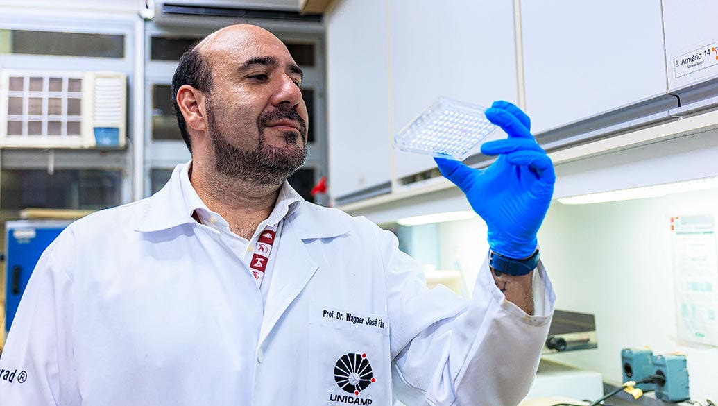 Pessoa usando jaleco branco com identificação e logo da Unicamp, luva azul na mão direita levantada segurando uma placa de petri transparente, em ambiente de laboratório com equipamentos ao fundo, parede branca, painel de controle e etiqueta visível no lado direito. Pessoa usando jaleco branco com identificação e logo da Unicamp, luva azul na mão direita levantada segurando uma placa de petri transparente, em ambiente de laboratório com equipamentos ao fundo, parede branca, painel de controle e etiqueta visível no lado direito.
