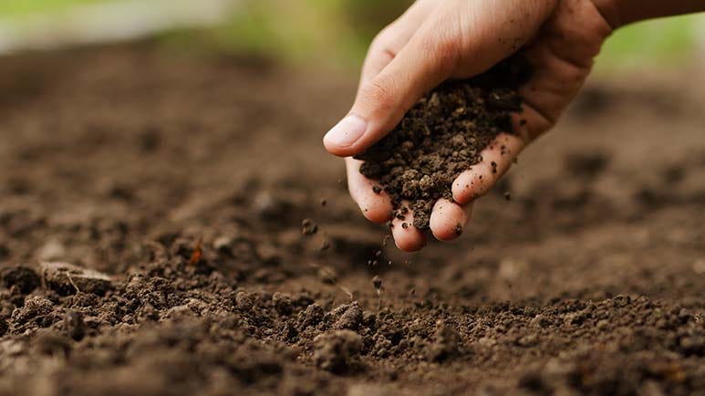 soil long term fertility
