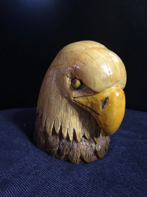 Eagle by Janet Wolfinger