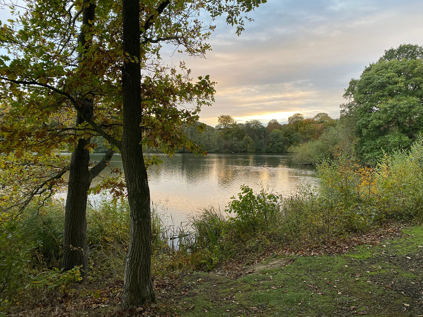 late afternoon light on lake at Yorkshire Sculpture Park