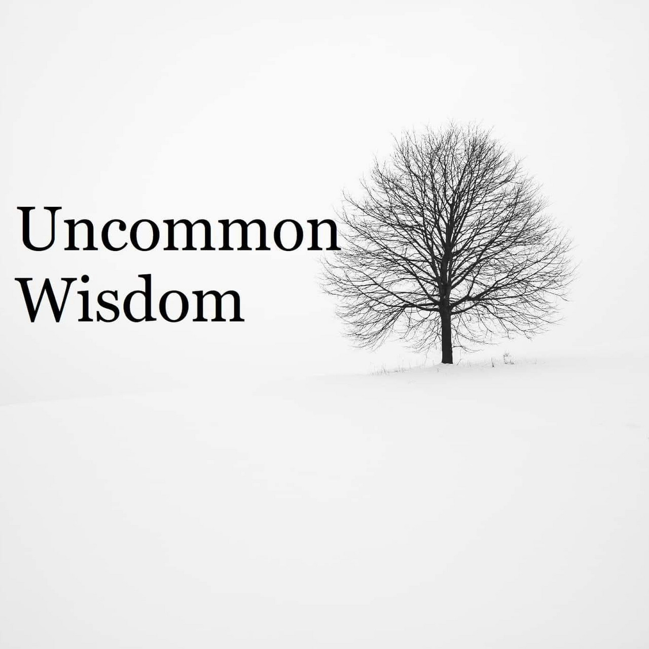 Uncommon Wisdom