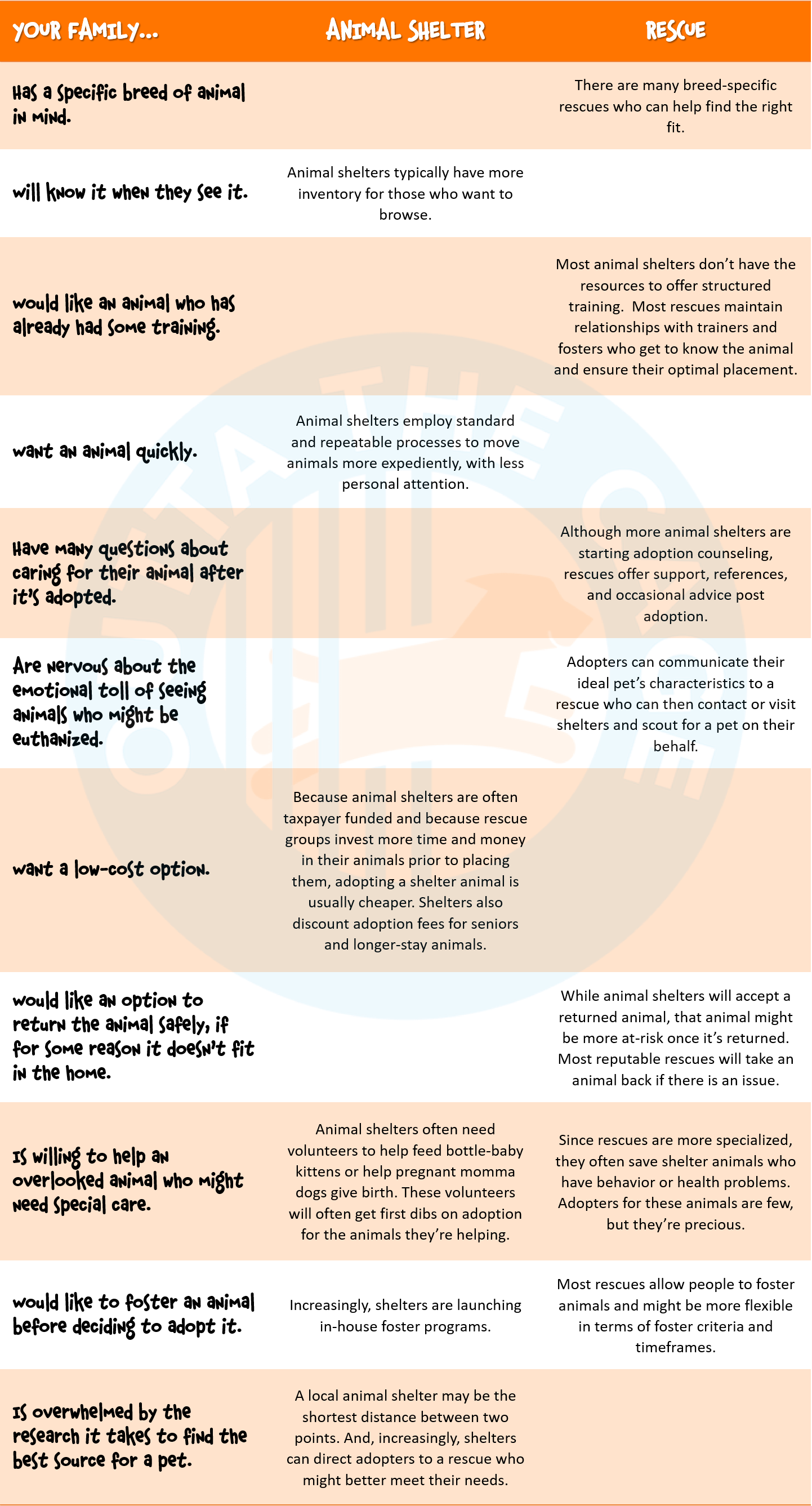 Shelter adoption vs. rescue: What’s the difference?